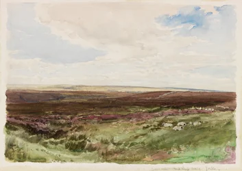 Hedeland nær Hart Leap Well, Yorkshire