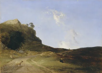 Hedelandskab