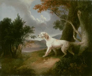 Landskab med hund