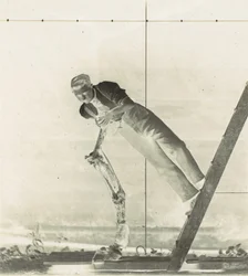 Mand på en stige med dissekeret hesteben, 1880