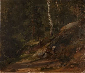 Skovstudie fra Romsdal