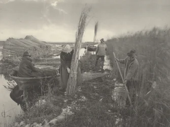 Under sivhøsten, 1886 (foto)