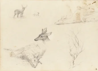 Skitsebog over Landskabs- og Dyrefag, 1860-64.