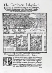 Lysthus bygget som en skygge mod solen og beplantning i højbede, fra The Gardeners Labyrinth, 1577