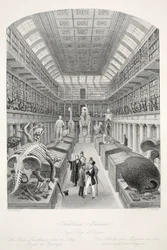 Hunterian Museum, Royal College of Surgeons, fra pubben 