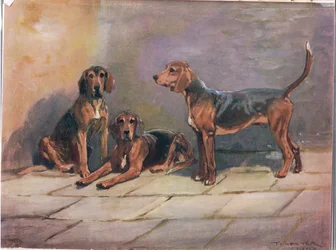 Hunde, illustration fra 