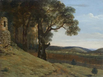 Mark nær Pencerrig
