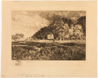 Long Island Landskab