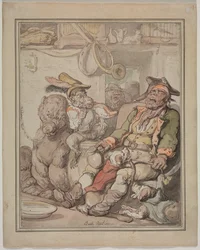 Komparativ anatomiundersøgelse