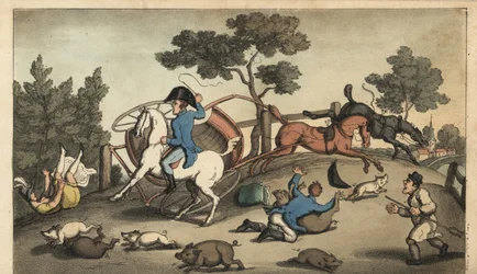 Johnny and a Lady styrter en koncert i en flok svin. Håndfarvet kobberstik af W. Læst efter en illustration af Thomas Rowlandson fra Alfred Burtons The Adventures of Johnny Newcombe in the Navy, Simpkin, London