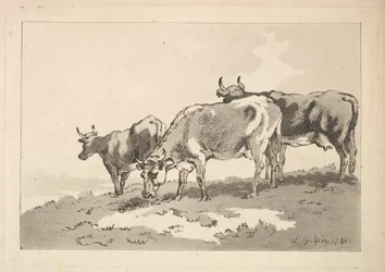 Tre køer stående på kanten af en mark, 1784-87.