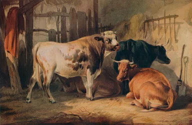 En tyr og tre køer i en stald, ca. 1856