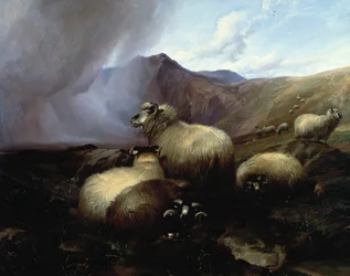 Højlandsfår i et bjergrigt landskab, 1854