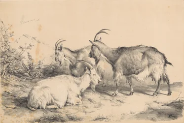 Tre geder