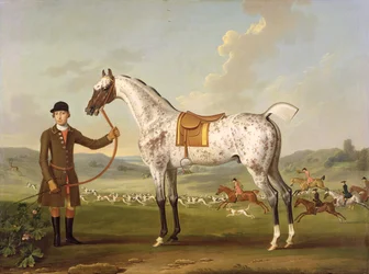 Scipio, oberst Roches plettede jæger, ca. 1750