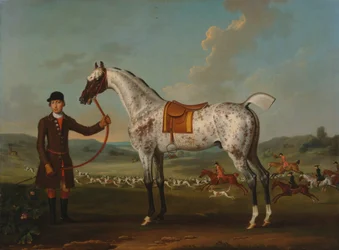Scipio, en plettet jæger, ejet af oberst Roche