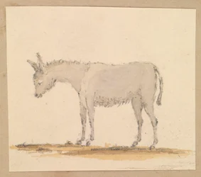 Studie af et æsel, ca. 1820 (pen og blæk, lakering, akvarel)