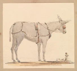 Studie af et æsel med hovedtøj og seletøj, ca. 1820 (blyant med brun og grå vask på papir)