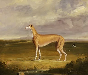The Greyhound, ca. 1830 (olie på lærred)