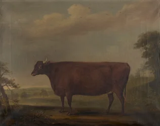 Røde Devon-kvier i landskab, ca. 1812 (olie på lærred)