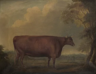 Røde Devon-kvier i landskab, ca. 1812 (olie på lærred)