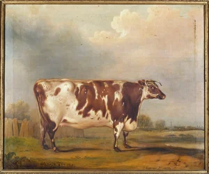 Wildair, en otte-årig kvie i et flodlandskab, 1827