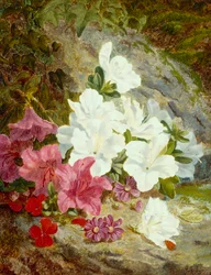 Azalea (olie på lærred)