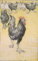 Hane, efterfulgt af sorte og hvide høns, 1899