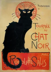 Black Cat Tour