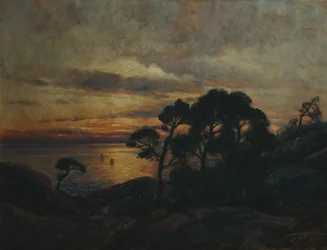 Fyrretræ ved solnedgang