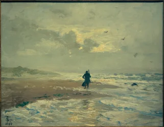 Strandudsigt. Filialer ved Skagen