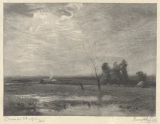 Landskab, eftermiddag