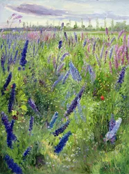 Delphiniums og spirende sol