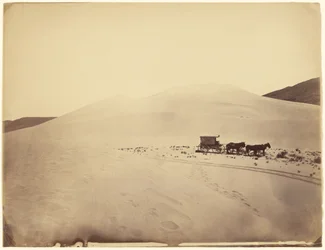 [Ørkensandbakker nær Sink of Carson, Nevada]