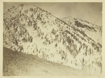 Snow Peaks, Bull Run minedistrikt, Nevada