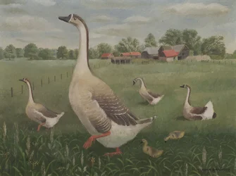 Visner vil du vandre?