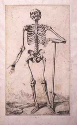 Anatomisk undersøgelse af Domenico Maria Bonavera (f.1640) (ætsning og tørnål)