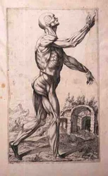 Anatomisk undersøgelse af Domenico Maria Bonavera (f.1640) (ætsning og tørnål)