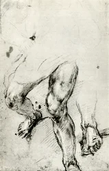 Undersøgelse for St. Lawrences martyrium i Venedig, c1550, 1937