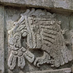 Relief af en ørn, Quetzalcoatls tempel