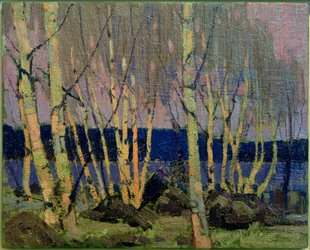 Aften, Canoe Lake