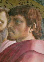 Tribute Money Head of an Apostle - detalje fra 31642 c.1427 fresco
