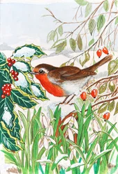 Robin og Vintergækker