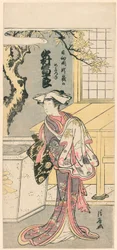 Nakamura og Mijuro læge som femme Fox-medlem Te S fra Te Pay, Jigo torii springræv (Nakamura og Mijuros hunræv fra Mt.