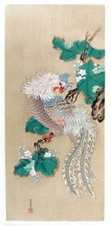 Japan: fremstilling af en fenix (føniks). Silkemaleri af Tosa Mitsuoki (1617-1691)