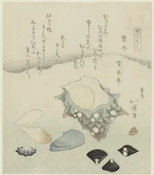 Lilla skal, ferskvandsmuslinger og en turbanskal Murasakigai shijimi sazae (titel på objekt) En serie af skaller (serietitel) Kaitsukushi (serietitel på objekt)