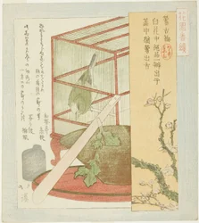 Warbler i et bur, fra serien "A Series for the Hanazono Group (Hanazono bantsuzuki)"