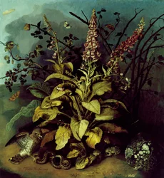 Stilleben