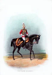2. Livgarde, 1888