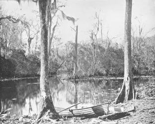 A Feeder of the St. Johns River, Florida, USA, c1900.